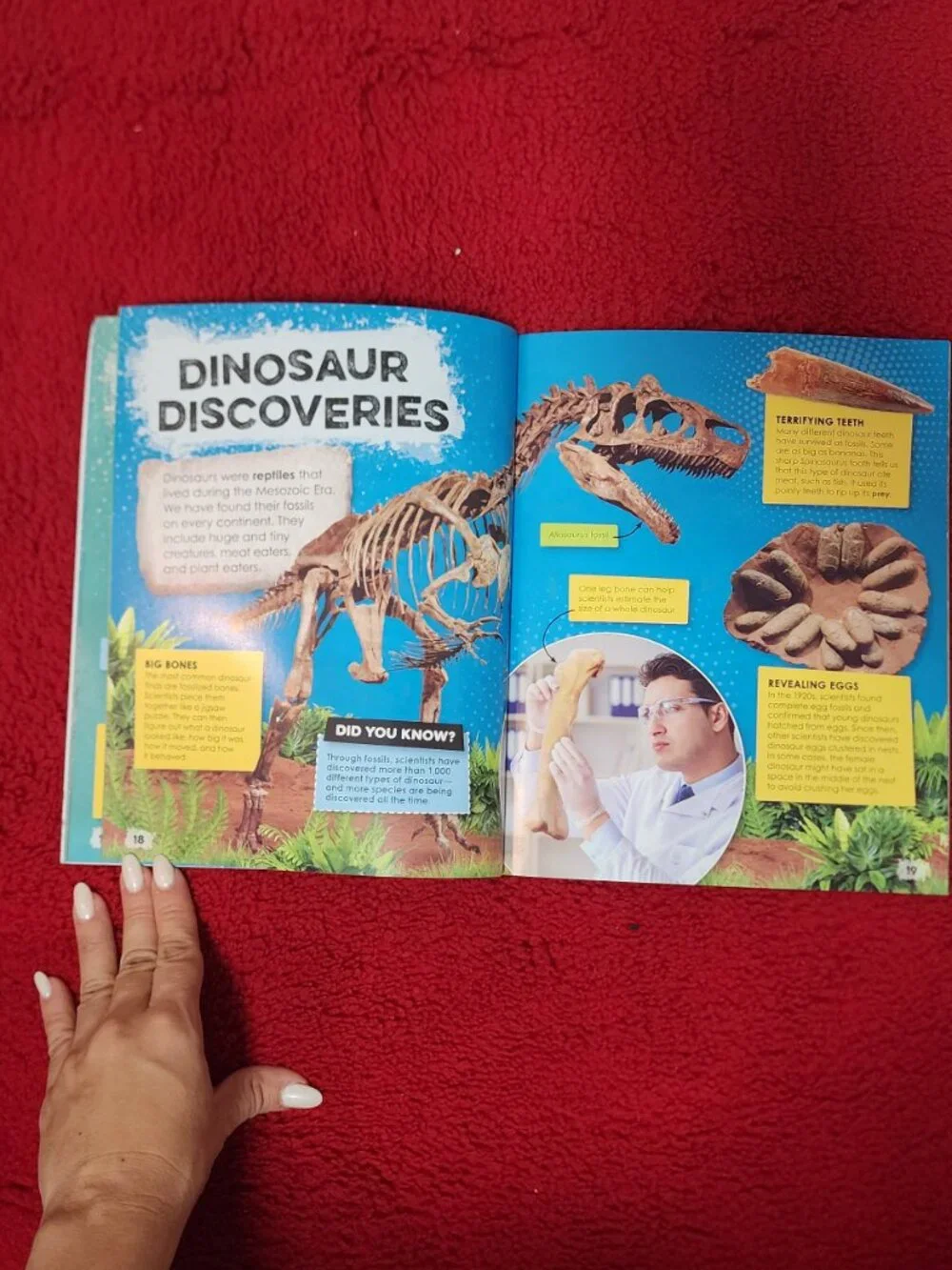 Fantastic Fossils Kids Science Book – Dinosaurs, Fossils & Prehistoric Life